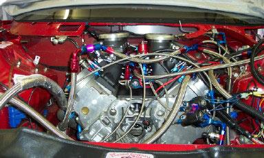image buster_6-jpg