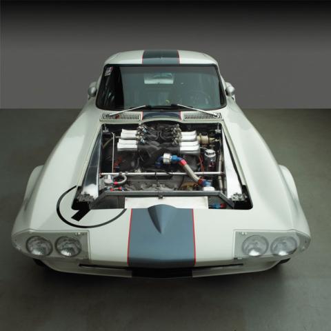 image stingray-073-jpg