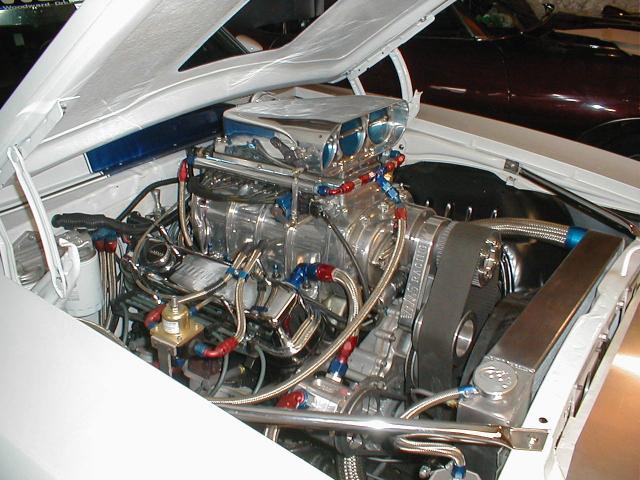image birunderhood1-jpg