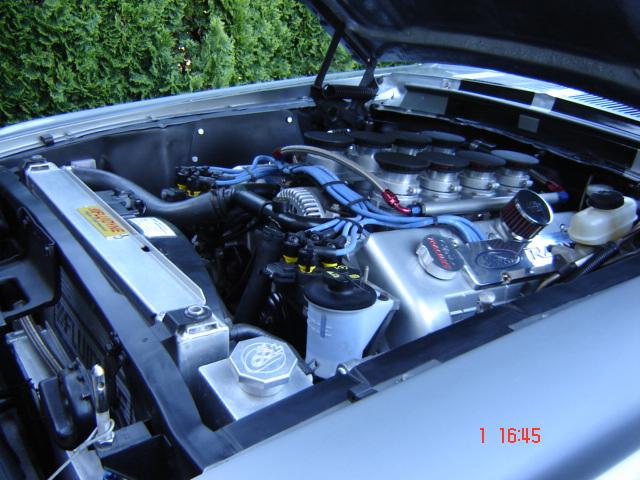 image kuhn_2-jpg