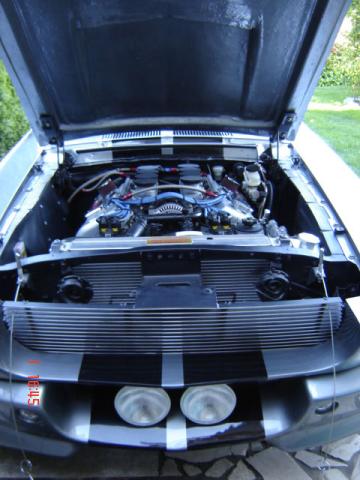 image kuhn_5-jpg