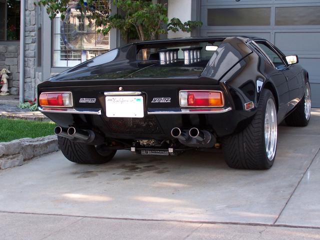 image pantera_back-jpg
