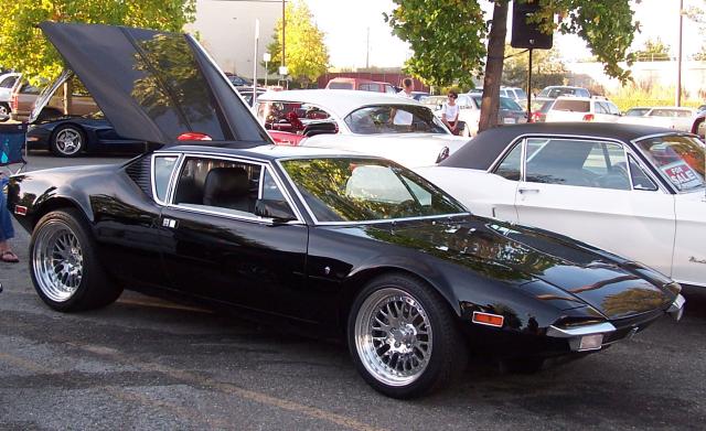image pantera_side-jpg